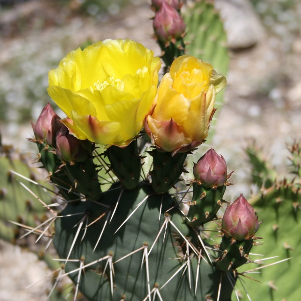 Meet your Posher, Kerry